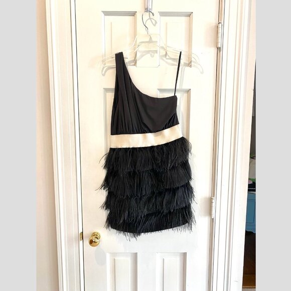 KARLIE Tuckernuck One Shoulder Tiered Black Feather Mini Dress Cocktail Party - Picture 5 of 12